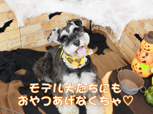 HAPPY HALLOWEEN♪